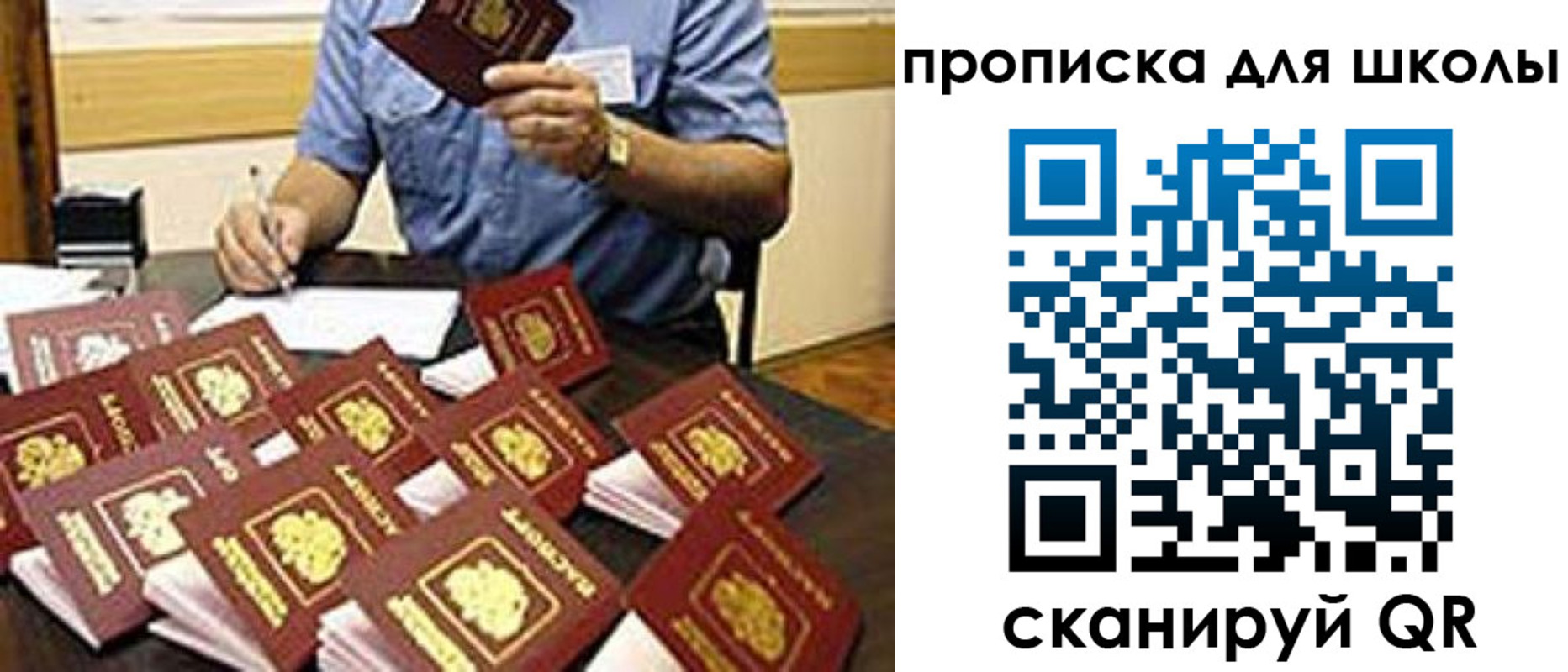 прописка поиск в Долгопрудном